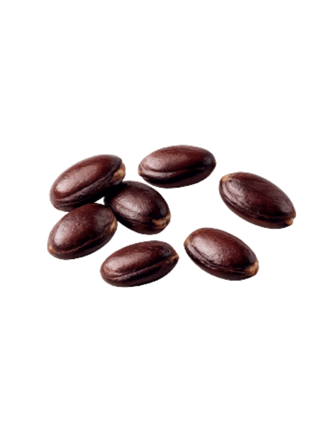 Carob Seeds